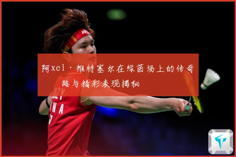 阿xel·维特塞尔在绿茵场上的传奇之路与精彩表现揭秘