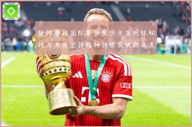 张帅鏖战国际赛场展现中国网球韧性与老将坚持精神持续突破新高度