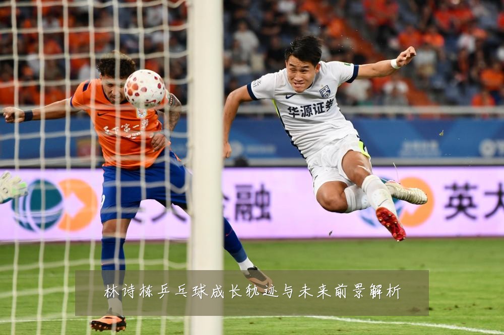 林诗栋乒乓球成长轨迹与未来前景解析